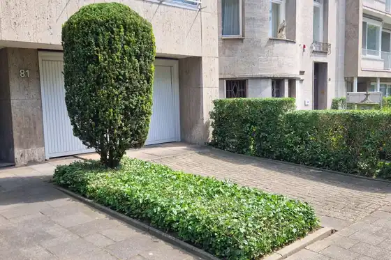 In Form geschnittene Hecken vor einem Mietshaus in Düsseldorf