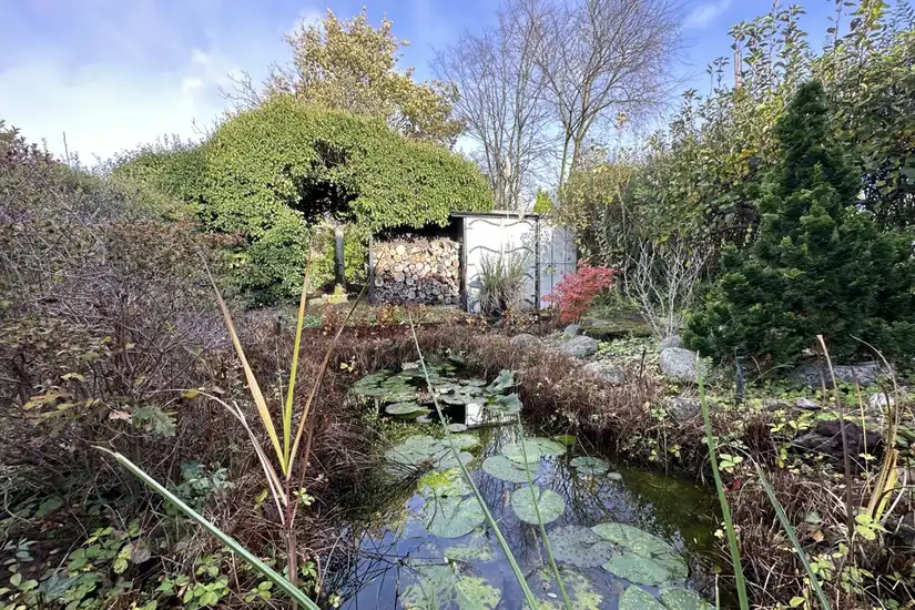 Teich im hinteren Garten